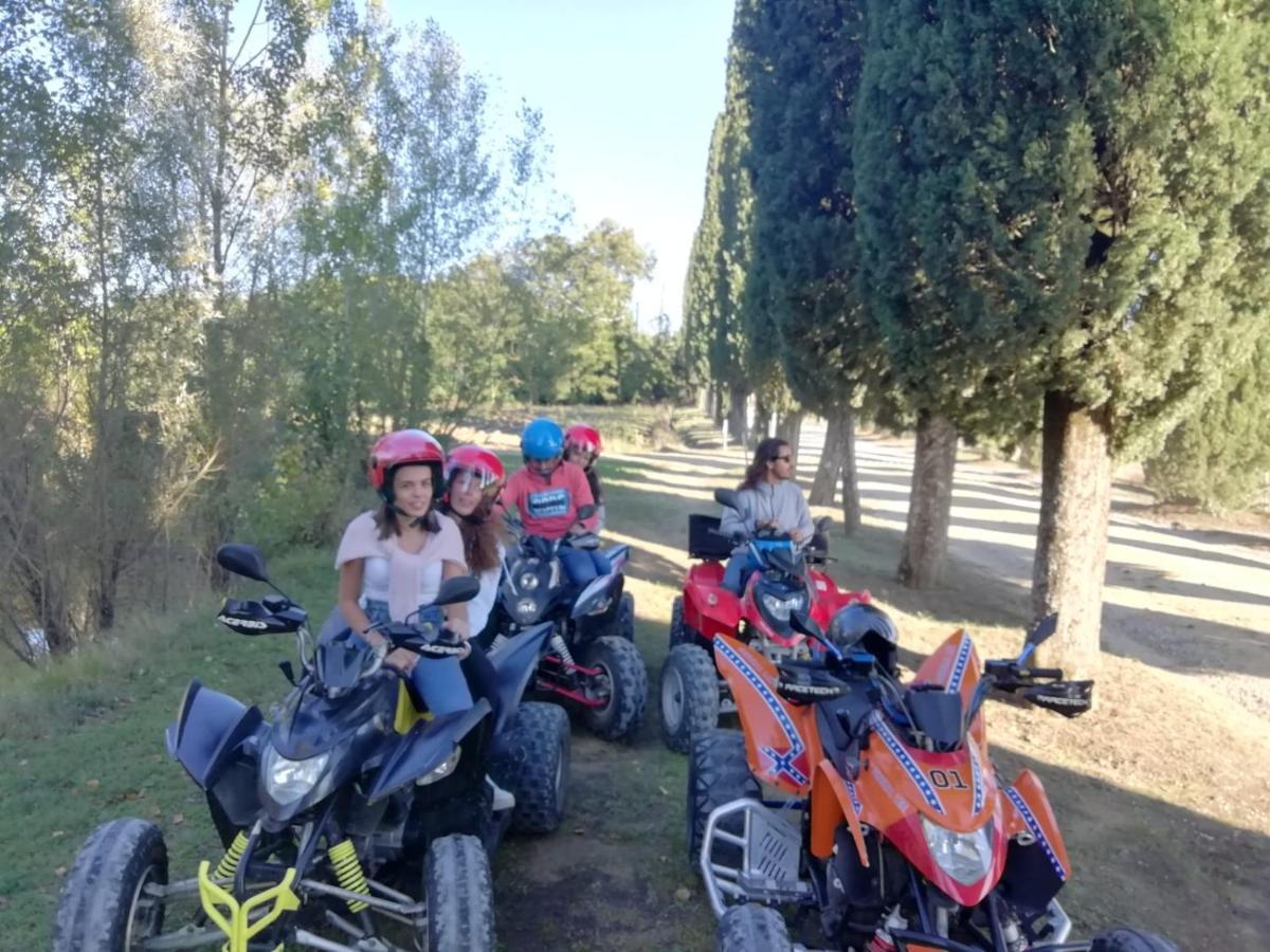 Appartamento Crete Senesi Castelnuovo Berardenga Eksteriør billede