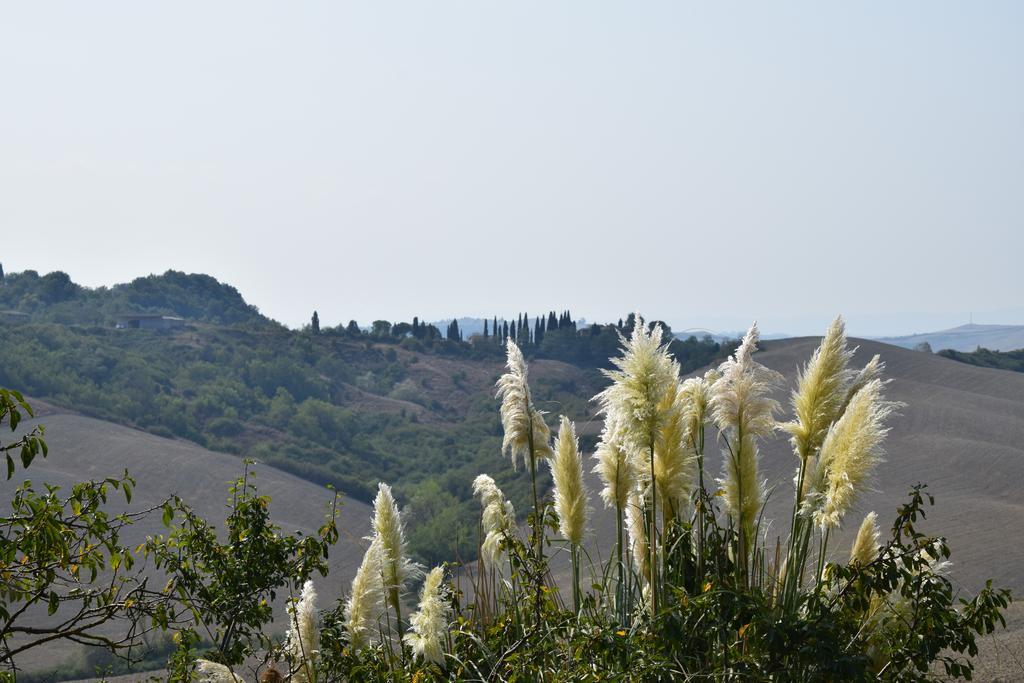Appartamento Crete Senesi Castelnuovo Berardenga Eksteriør billede