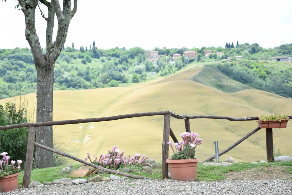 Appartamento Crete Senesi Castelnuovo Berardenga Eksteriør billede