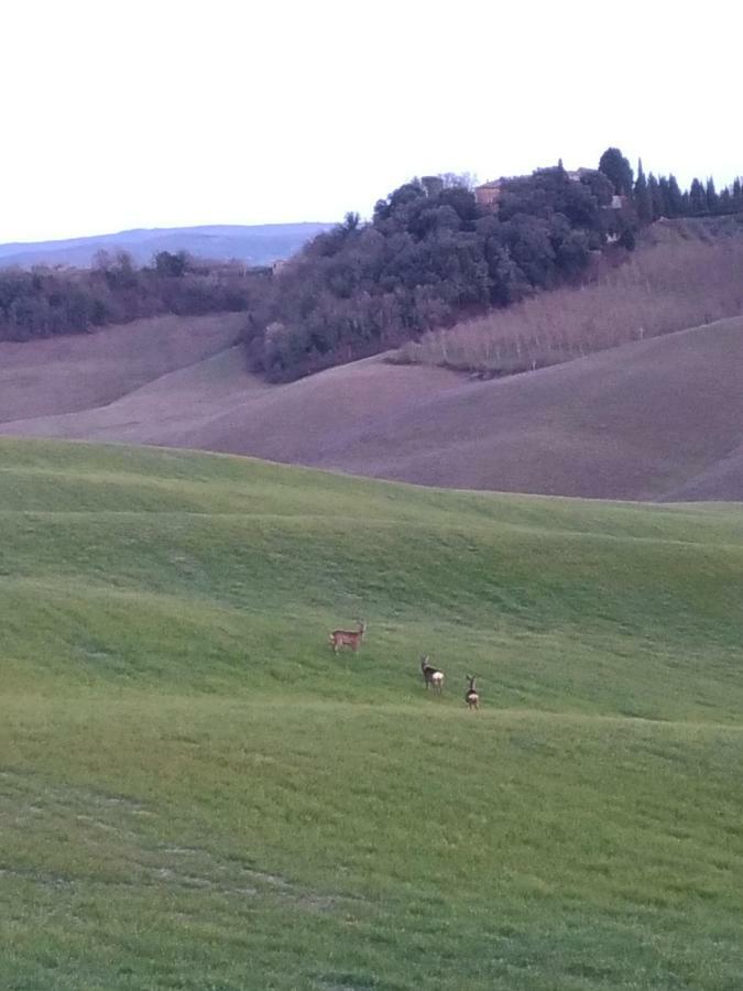 Appartamento Crete Senesi Castelnuovo Berardenga Eksteriør billede
