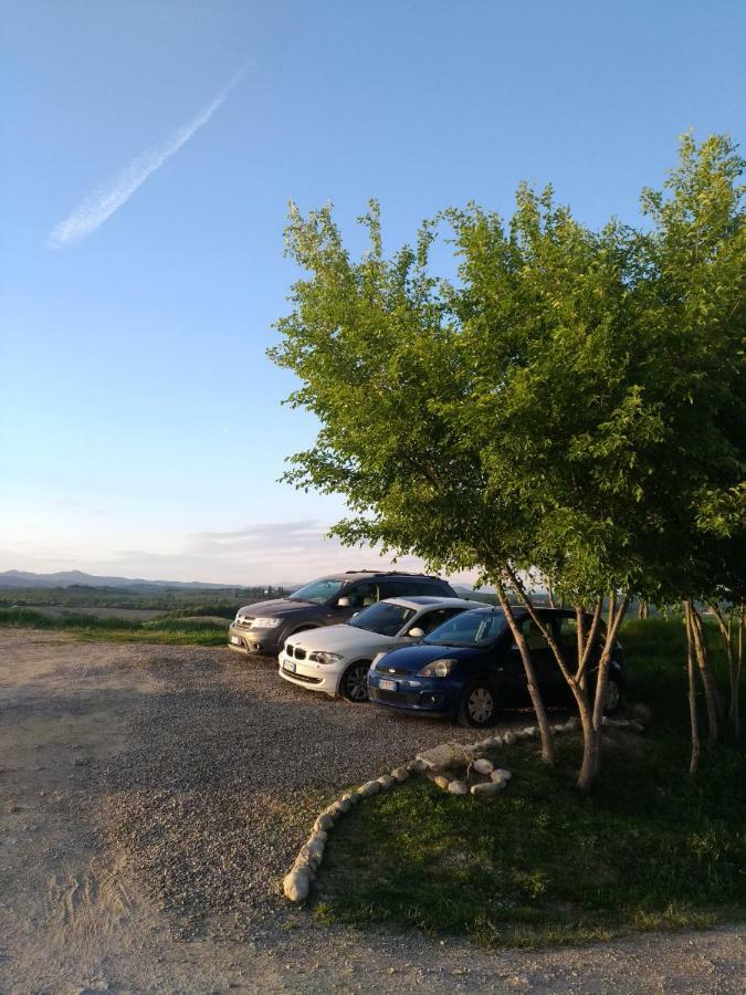 Appartamento Crete Senesi Castelnuovo Berardenga Eksteriør billede