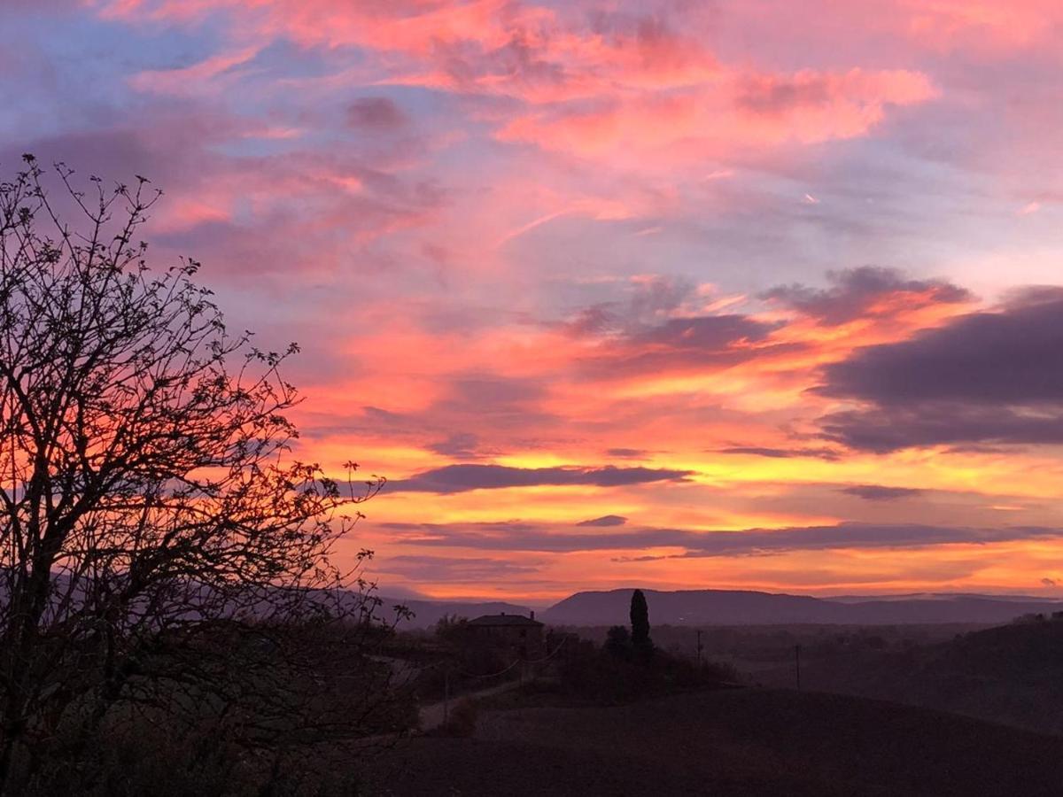 Appartamento Crete Senesi Castelnuovo Berardenga Eksteriør billede
